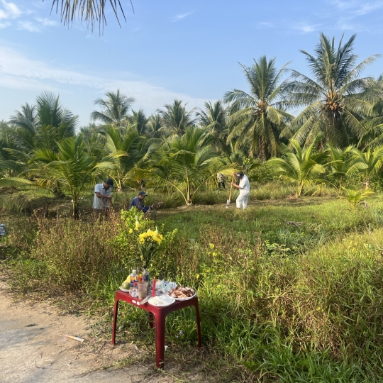 Hàng rào + nhà cấp 4 a lâm 