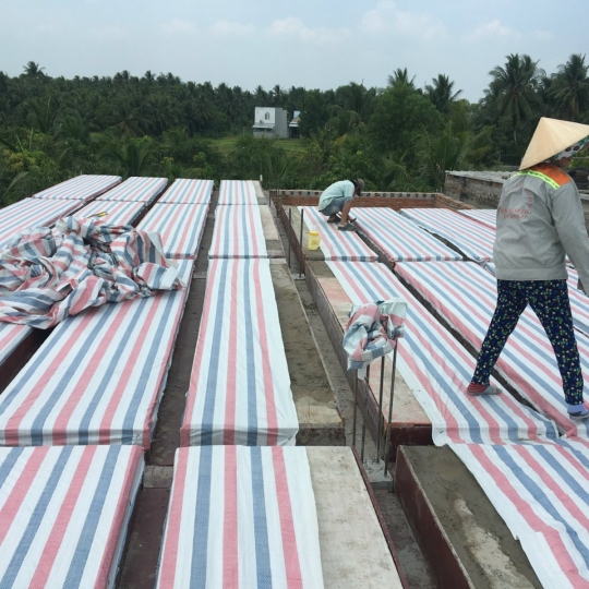 Nhà yến Giồng Trôm, Bến Tre